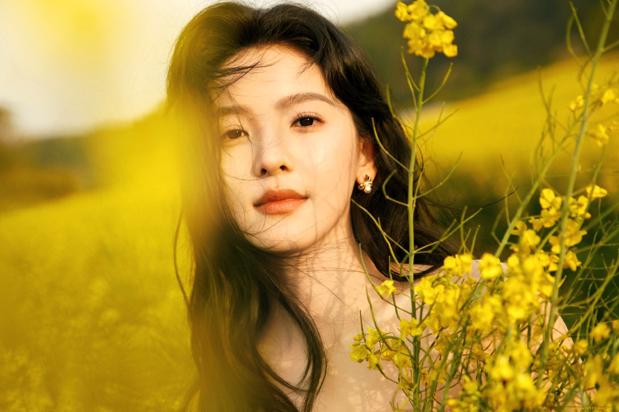 , zhang ruo nan, , , , 